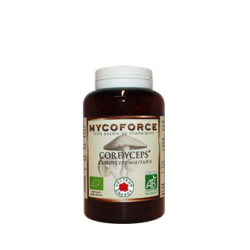 Cordyceps- 180 glules - Bio* - Mycoforce - Poudre de champignon - Vecteur Energy