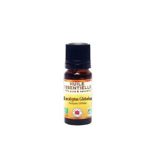 Eucalyptus globuleux huile essentielle Bio - Vecteur Energy