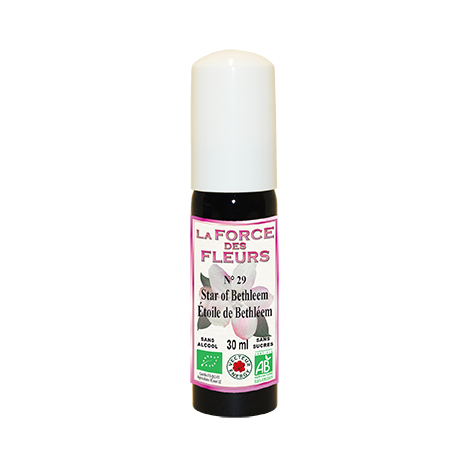 La Force des Fleurs N°29 Star of Bethleem/ Etoile de Bethléem - Fleur de Bach - Bio - Sans sucres/Sans alcool - 30ml