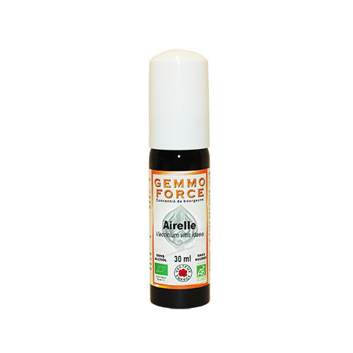 GemmoForce Airelle - sans sucre - sans alcool - Bio - 30 ml - Gemmothérapie - Vecteur Energy
