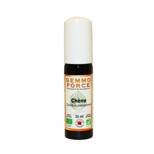 GemmoForce Chêne - sans sucre - sans alcool - Bio - 30 ml - Gemmothérapie - Vecteur Energy