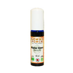 GemmoForce Mûrier blanc - sans sucre - sans alcool - Bio - 30 ml - Gemmothérapie - Vecteur Energy