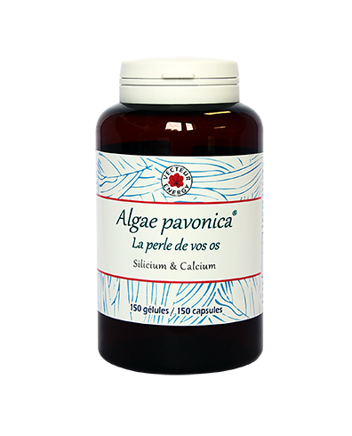 Algae padina pavonica - 150 gélules - Algothérapie - Vecteur Energy