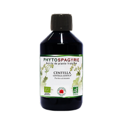 Centella - Bio* - 300 ml - Phytospagyrie - Extrait de plante - Vecteur Energy