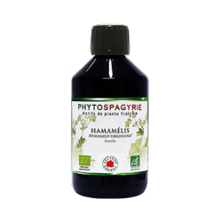 Hamamélis - 300 ml - Phytospagyrie - Extrait de plante biologique* - Vecteur Energy