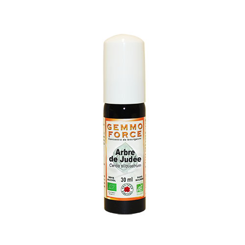 GemmoForce Arbre de judée - sans sucre - sans alcool - Bio* - 30 ml - Gemmothérapie - Vecteur Energy