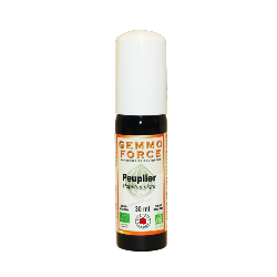 GemmoForce Peuplier - sans sucre - sans alcool - Bio - 30 ml - Gemmothrapie - Vecteur Energy