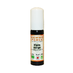 GemmoForce Vigne Vierge - sans sucre - sans alcool - Bio - 30 ml - Gemmothérapie - Vecteur Energy