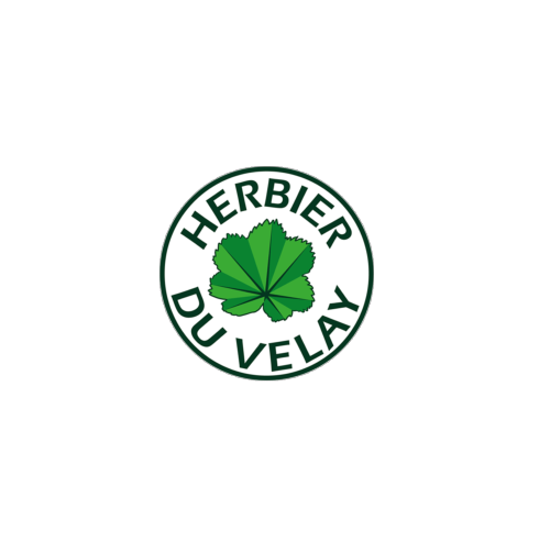 PHYTOTHERAPIE
