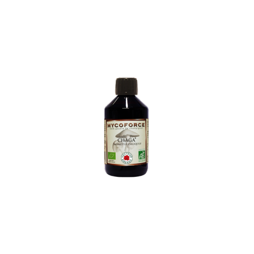 Chaga- 300 ml - Bio* - Mycoforce - Extrait de champignon - Vecteur Energy