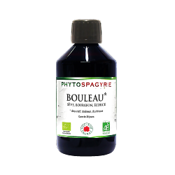 Bouleau blanc - Bio* - 300 ml - Phytospagyrie - Extrait de plante - Vecteur Energy