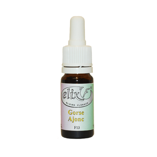 ELIX'F - Ajonc / Gorse N°13 - 10 ml - Elixir floral - Fleur de Bach - Vecteur Energy
