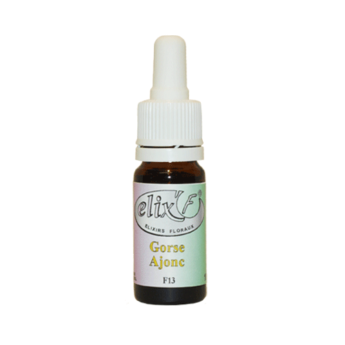 ELIX'F N°13 - Ajonc / Gorse - 10 ml - Elixir floral - Fleur de Bach - Vecteur Energy