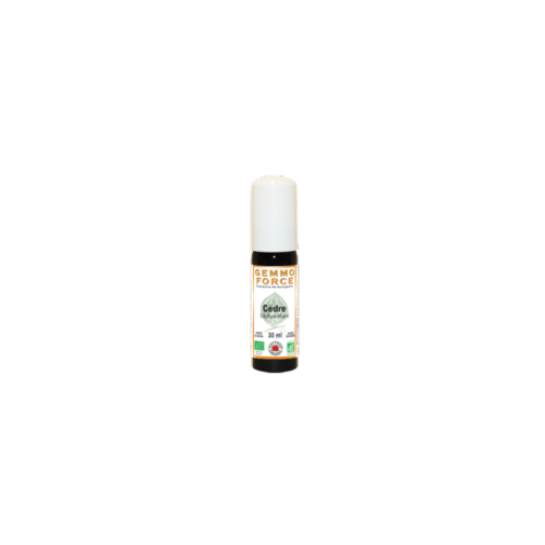 GemmoForce Cèdre - sans sucre - sans alcool - Bio* - 30 ml - Gemmothérapie - Vecteur Energy 