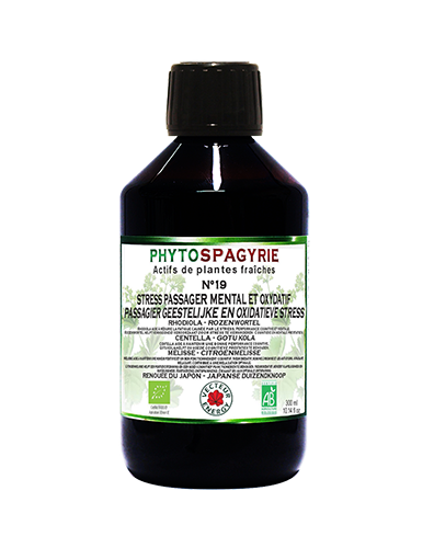 Phytospagyrie N°19 Stress passager mental et oxydatif - Bio* - 300 ml - Synergie de plantes biologiques* - Vecteur Energy