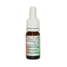 ELIX'F N°07 - Bourgeon de marronnier / Chestnut bud - 10 ml - Elixir floral - Fleur de Bach - Vecteur Energy