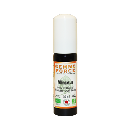 GemmoForce Complexe N10 - Minceur - sans alcool - Bio - 30 ml - Gemmothrapie - Vecteur Energy