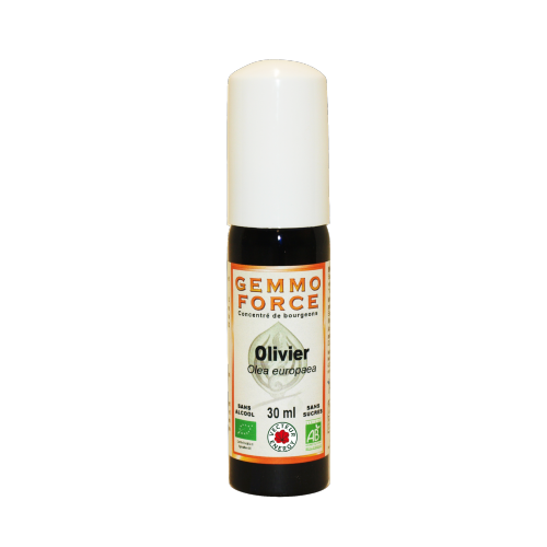 GemmoForce Olivier - sans sucre - sans alcool - Bio - 30 ml - Gemmothérapie - Vecteur Energy