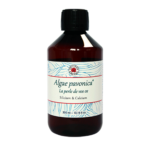 Algae padina pavonica - 300 ml - Algothérapie - Vecteur Energy