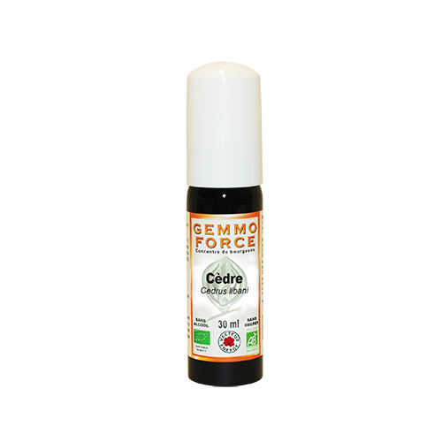 GemmoForce Cèdre - sans sucre - sans alcool - Bio* - 30 ml - Gemmothérapie - Vecteur Energy