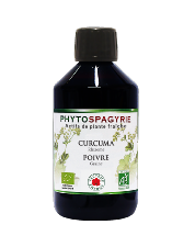 Curcuma Poivre - Bio* - 300 ml - Phytospagyrie - Extrait de plante - Vecteur Energy