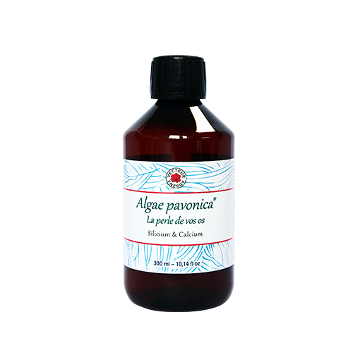 Algae padina pavonica - 300 ml - Algothérapie - Vecteur Energy