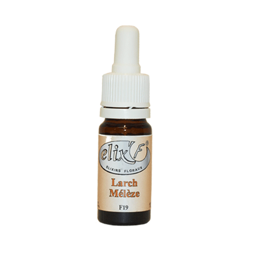 ELIX'F N°19 - Mélèze / Larch - 10 ml - Elixir floral - Fleur de Bach - Vecteur Energy