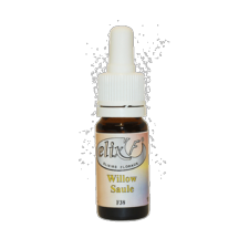 ELIX'F N38 - Saule / Willow - 10 ml - Elixir floral - Fleur de Bach - Vecteur Energy