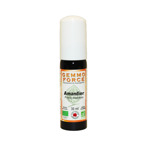 GemmoForce Amandier - sans sucre - sans alcool - Bio* - 30 ml - Gemmothérapie - Vecteur Energy