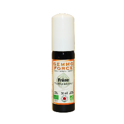 GemmoForce Frêne - sans sucre - sans alcool - Bio - 30 ml - Gemmothérapie - Vecteur Energy