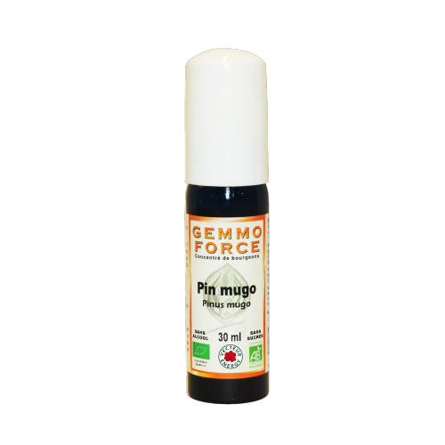 GemmoForce Pin mugo - sans sucre - sans alcool - Bio - 30 ml - Gemmothérapie - Vecteur Energy