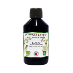 Bacopa - Bio* - 300 ml - Phytospagyrie - Extrait de plante - Vecteur Energy