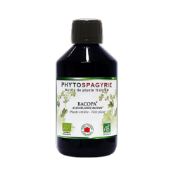 Bacopa - Bio* - 300 ml - Phytospagyrie - Extrait de plante - Vecteur Energy