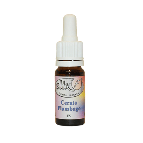 ELIX'F - Plumbago / Cerato N°5 - 10 ml - Elixir floral - Fleur de Bach - Vecteur Energy