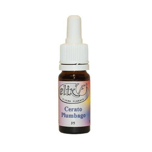 ELIX'F N°05 - Plumbago / Cerato - 10 ml - Elixir floral - Fleur de Bach - Vecteur Energy