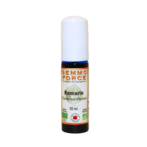 GemmoForce Romarin - sans sucre - sans alcool - Bio - 30 ml - Gemmothérapie - Vecteur Energy