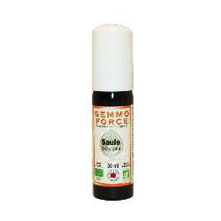 GemmoForce Saule - sans sucre - sans alcool - Bio - 30 ml - Gemmothérapie - Vecteur Energy