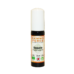 GemmoForce Séquoia - sans sucre - sans alcool - Bio - 30 ml - Gemmothérapie - Vecteur Energy