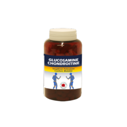 Glucosamine / Chondroïtine - 180 gélules végétales - Vecteur Energy