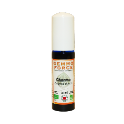 GemmoForce Charme - sans sucre - sans alcool - Bio - 30 ml - Gemmothrapie - Vecteur Energy