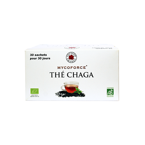 Thé Chaga Bio* - 30 sachets - Mycothérapie - Vecteur Energy