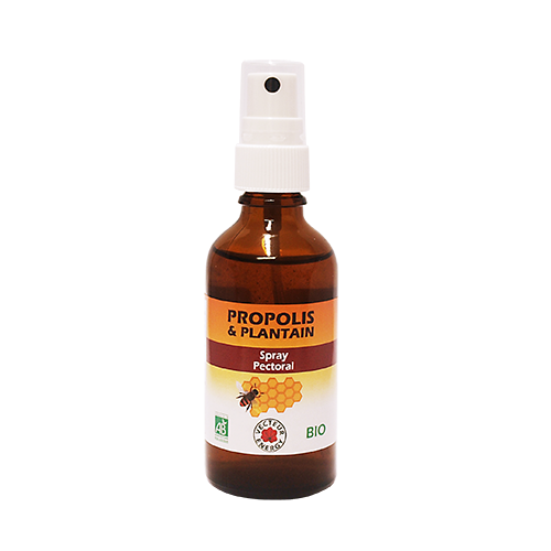 Propolis Plantain - Spray pectoral - Bio* - Vecteur Energy