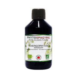 Harpagophytum - 300 ml - Phytospagyrie - Extrait de plante biologique* - Vecteur Energy