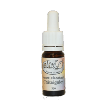 ELIX'F N°30 - Châtaignier / Sweet chestnut - 10 ml - Elixir floral - Fleur de Bach - Vecteur Energy