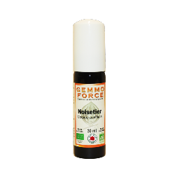 GemmoForce Noisetier - sans sucre - sans alcool - Bio - 30 ml - Gemmothérapie - Vecteur Energy