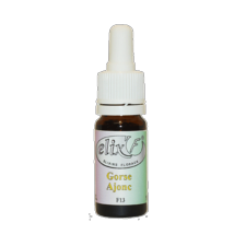 ELIX'F - Ajonc / Gorse N°13 - 10 ml - Elixir floral - Fleur de Bach - Vecteur Energy