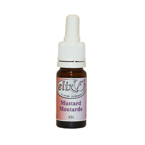 ELIX'F - Moutarde / Mustard N°21 - 10 ml - Elixir floral - Fleur de Bach - Vecteur Energy