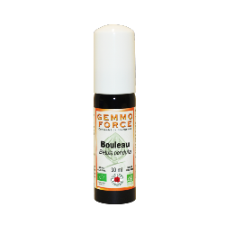 GemmoForce Bouleau - sans sucre - sans alcool - Bio - 30 ml - Gemmothérapie - Vecteur Energy