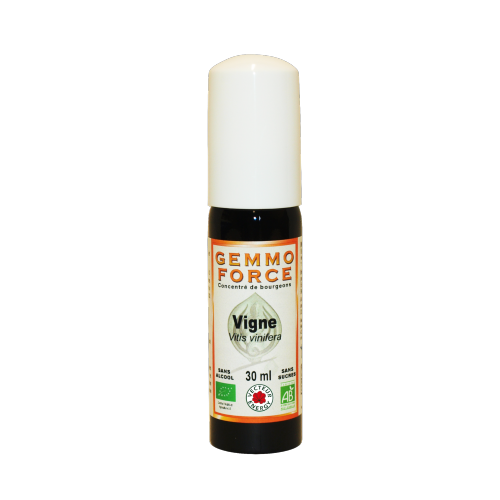 GemmoForce Vigne - sans sucre - sans alcool - Bio - 30 ml - Gemmothérapie - Vecteur Energy