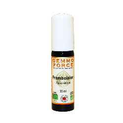 GemmoForce Framboisier - sans sucre - sans alcool - Bio - 30 ml - Gemmothérapie - Vecteur Energy